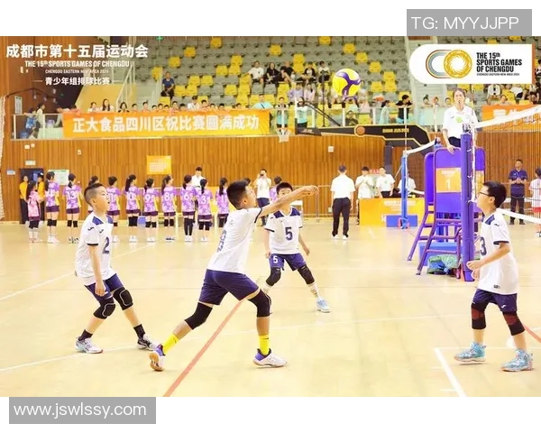 成都排球队战术解析与比赛策略深度剖析 成都排球队战术解析与比赛策略深度剖析