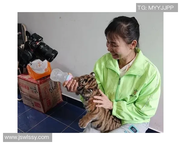 陈静独家分享篮球心得与技巧提升之道助你成为场上明星 陈静独家分享篮球心得与技巧提升之道助你成为场上明星